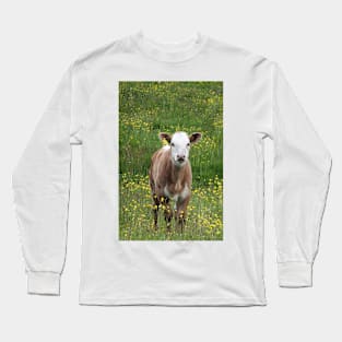 Calf in a Field Long Sleeve T-Shirt